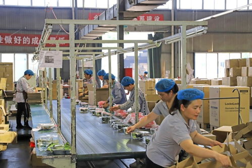 近九成專精特新企業(yè)制定國(guó)際化計(jì)劃