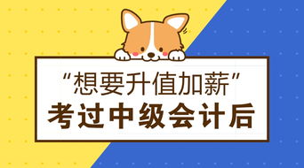 考過中級(jí)會(huì)計(jì)后職業(yè)發(fā)展 從事拍賣業(yè)務(wù)的機(jī)遇與工資前景